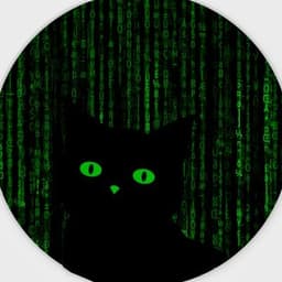 code cat